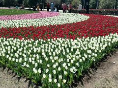 android_upload_pic-上海鲜花港