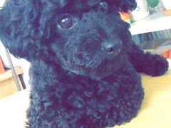 -上海市嘉定区中医医院