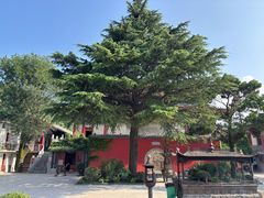 -华清宫景区-老母殿