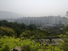 -金鸡山公园