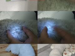 -科道动物医院·急重症中心(万达院)