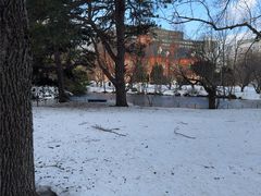 -北海道厅旧本厅舍(旧本庁舎)