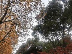 -后襄河公园