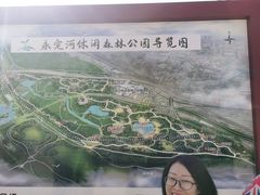 -永定河休闲森林公园