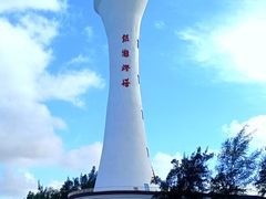 -北海金海湾红树林生态旅游区