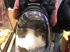 -山崎面包(苏州中心店)