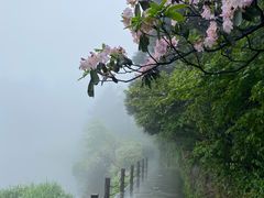 -庐山风景区花径公园