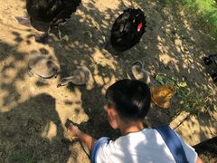 -长兴太湖图影湿地文化园