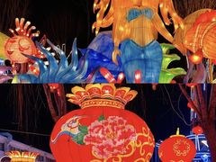 -北戴河集发农业梦想王国