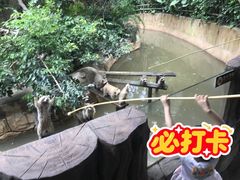 -长鹿旅游休博园