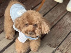 -上海神旺大酒店