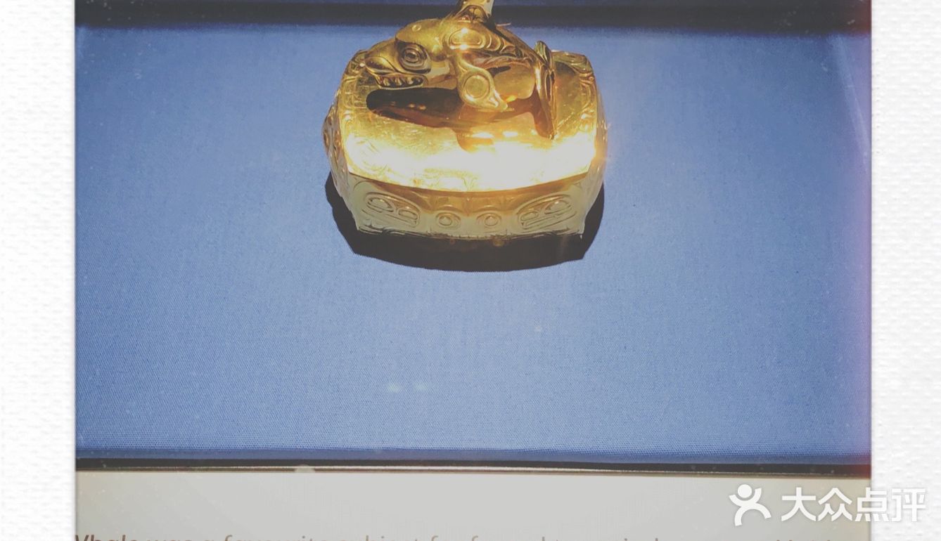 皇家bc博物馆：新的虎鲸展