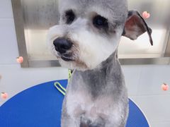 -佳雯宠物医院(金华南路分院)