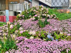 -首开·龙湖成都西宸天街