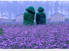 -广东花都香草世界旅游度假区