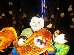 -北戴河集发农业梦想王国