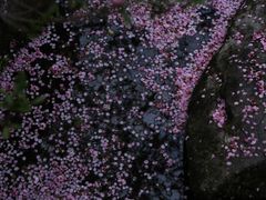 -钱王祠