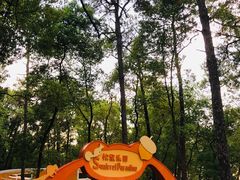 -东湖落雁景区