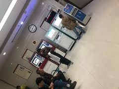 -广州中医药大学第一附属医院(总院)