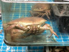 -和源祥·日照菜扛把子(万平口一店)