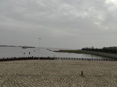 -碧海金沙