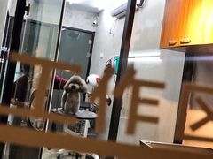 -PETKIT小佩宠物·低压洗护(国顺东路店)