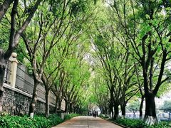 -广东财经大学(广州校区)