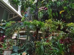 -正佳雨林生态植物园