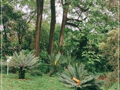 -华南国家植物园-售票处