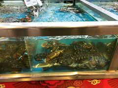 -盒马鲜生(大成店)