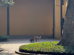 -西园寺素食(西园弄戒幢律寺店)