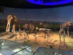 -安徽省地质博物馆