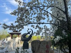 -东湖落雁景区