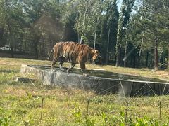 -秦皇岛野生动物园