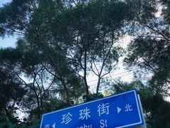 -东山珍珠岛