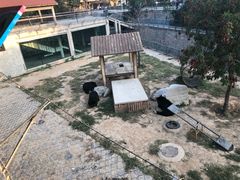 -石家庄市动物园