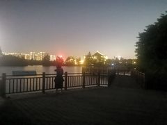 -五缘湾湿地公园