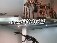 -烟台自然博物馆
