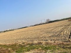 -嘉北郊野公园