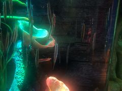 -沈阳海洋探索中心