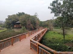 -广东花都湖国家湿地公园