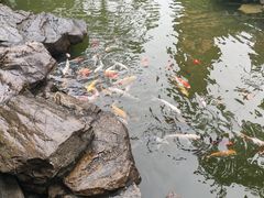 -吴作人艺术馆