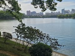 -食膳公园包子铺(烈士公园店)