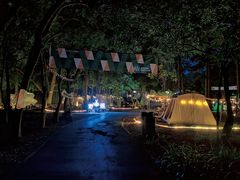 -南宁良凤江国家森林公园