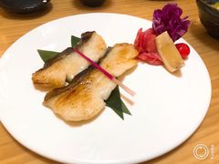 -鲔屋寿喜烧