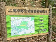 -上海佘山国家森林公园天马山园