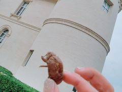 -北京张裕爱斐堡酒庄