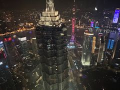 -上海柏悦酒店
