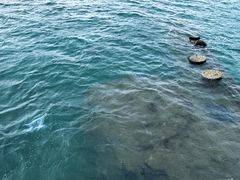 -珍珠港国家纪念馆