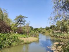 -梁鸿国家湿地公园